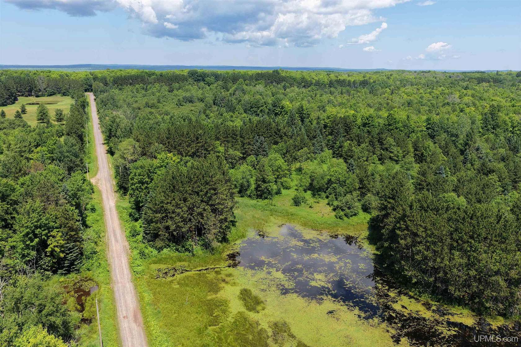20 Acres of Recreational & Residential Land for Sale in Nisula, Michigan