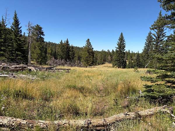 35 Acres of Recreational Land for Sale in Livermore, Colorado