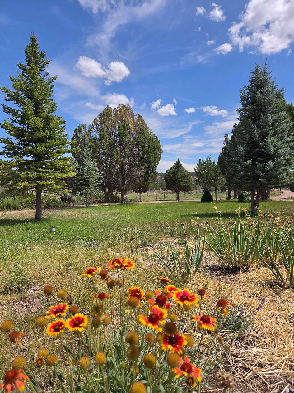 30 Acres of Recreational Land with Home for Sale in Caliente, Nevada