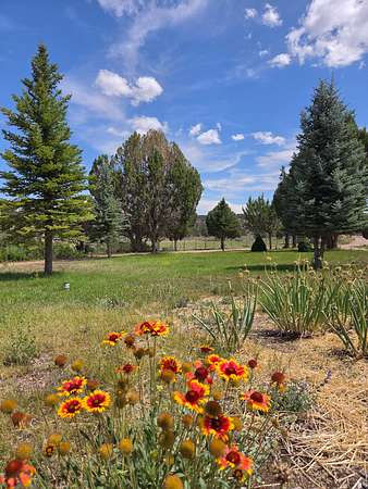 30 Acres of Recreational Land with Home for Sale in Caliente, Nevada