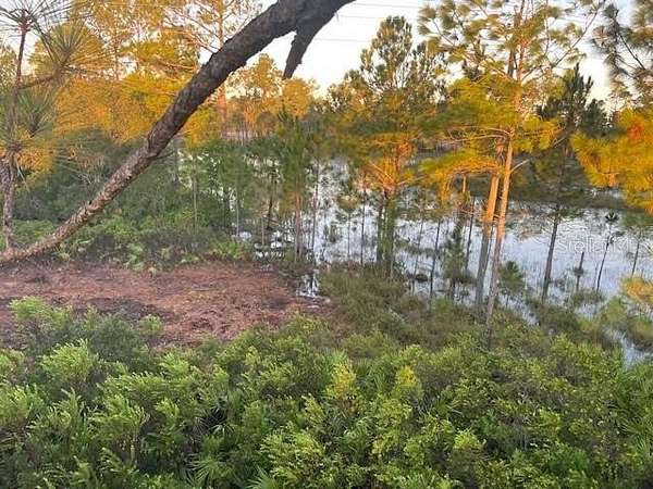 25 Acres of Recreational Land for Sale in DeLand, Florida