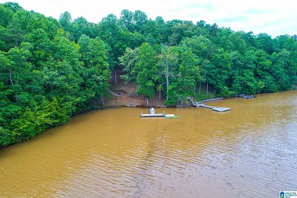 1 Acre of Land for Sale in Delta, Alabama