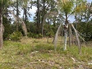 0.55 Acres of Residential Land for Sale in Indian Lake Estates, Florida