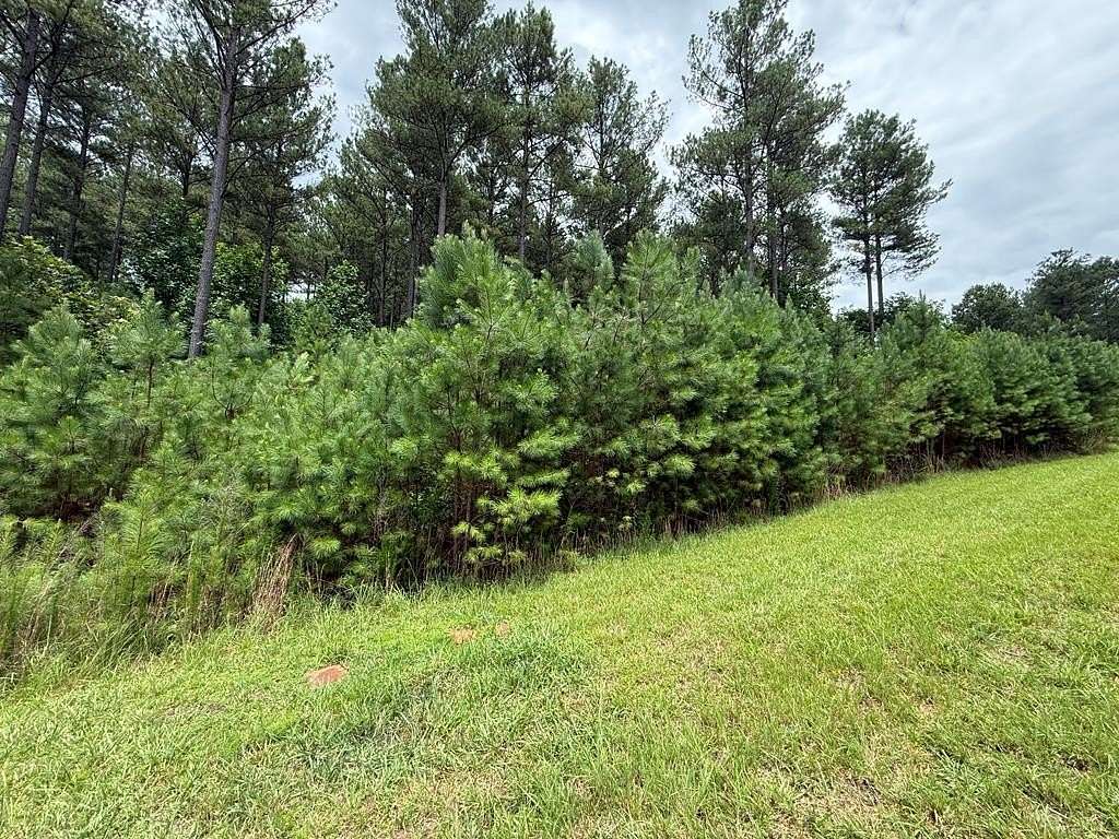 2.33 Acres of Land for Sale in Blairsville, Georgia