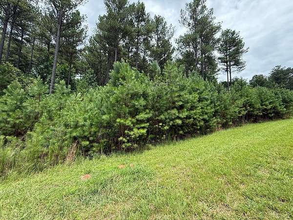 2.33 Acres of Land for Sale in Blairsville, Georgia