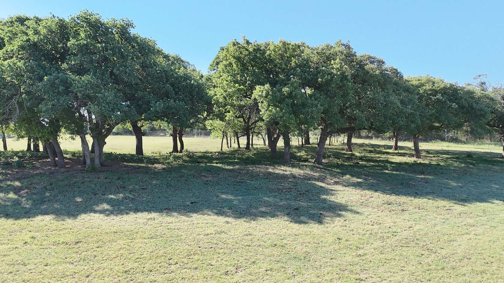 207 Acres of Agricultural Land for Sale in Comanche, Texas