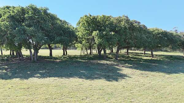 207 Acres of Agricultural Land for Sale in Comanche, Texas
