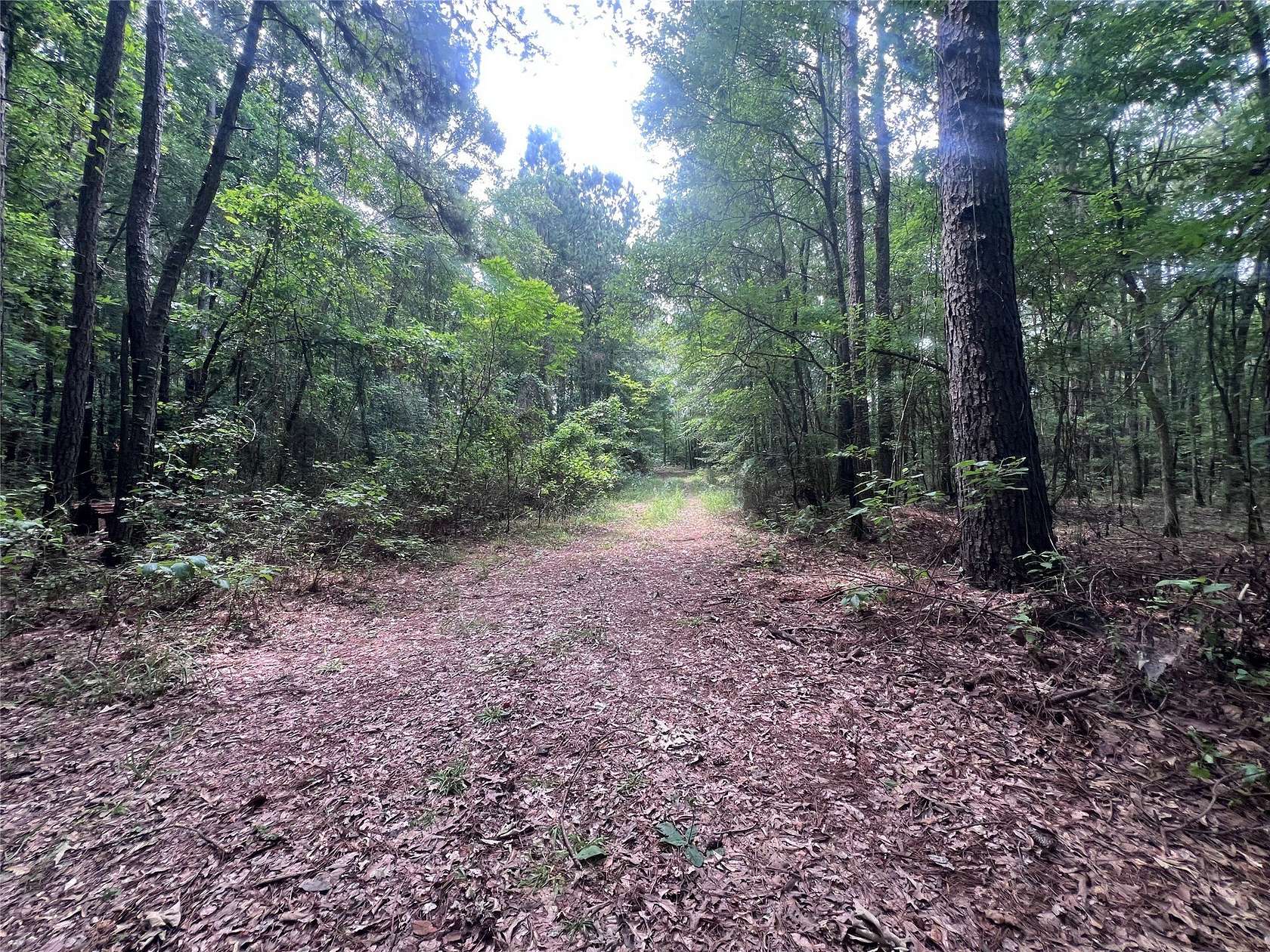 21.3 Acres of Land for Sale in Plain Dealing, Louisiana