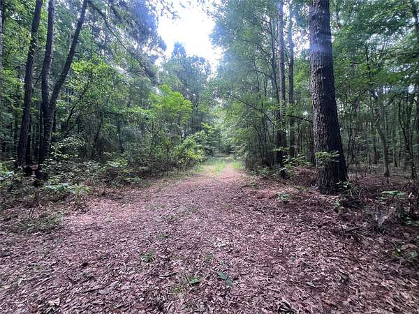 21.3 Acres of Land for Sale in Plain Dealing, Louisiana