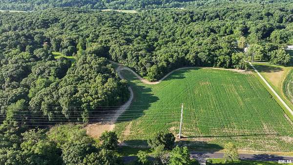 57 Acres of Land for Sale in Edelstein, Illinois