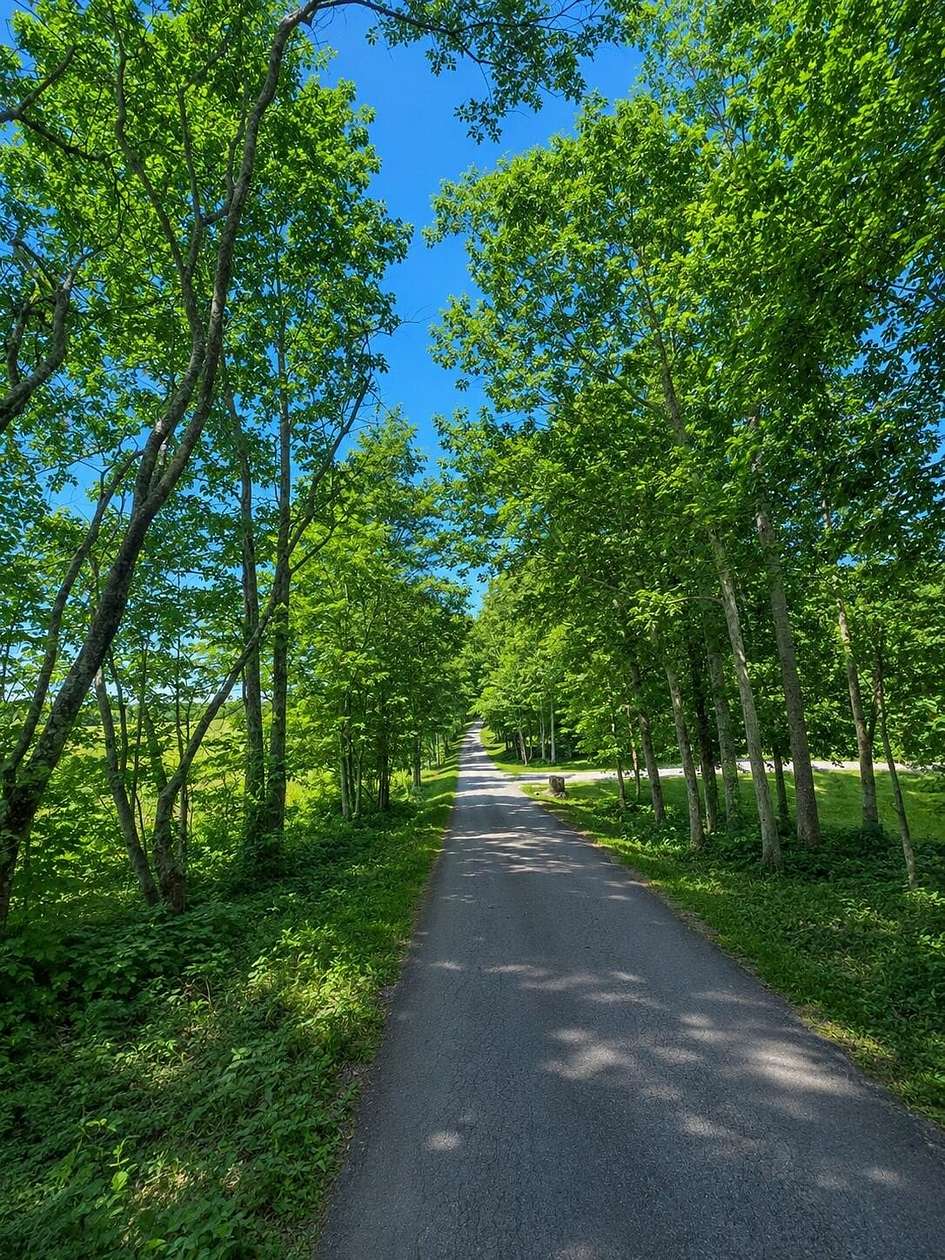 1 Acre of Residential Land for Sale in Nancy, Kentucky