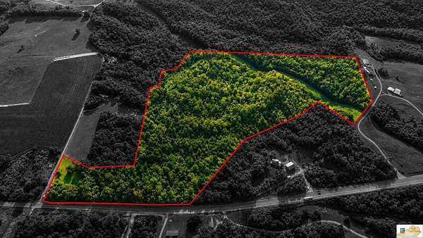 41.9 Acres of Land for Sale in Beaumont, Kentucky