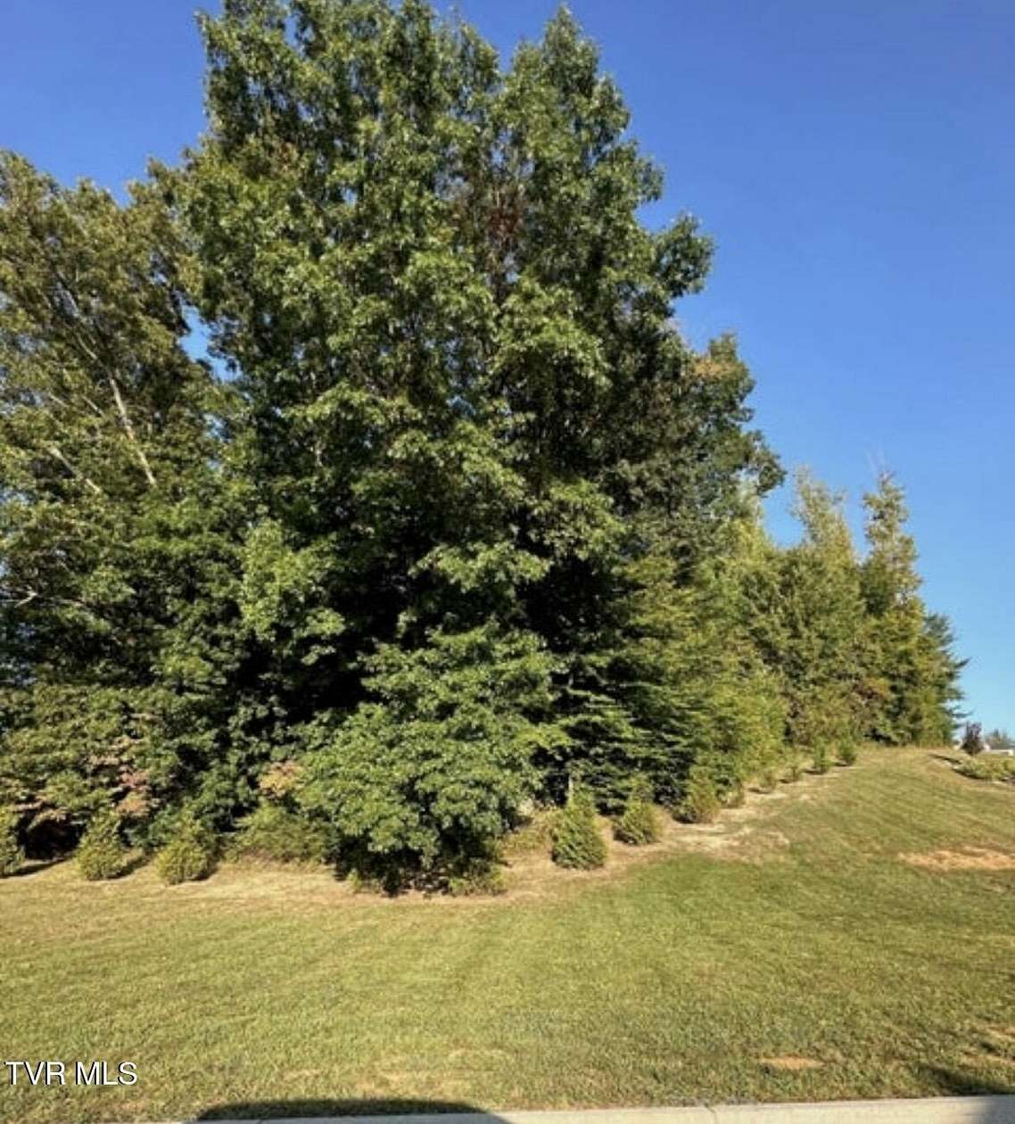 0.52 Acres of Residential Land for Sale in Jonesborough, Tennessee