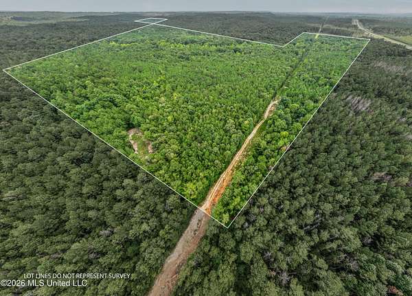 303 Acres of Recreational & Residential Land for Sale in Waynesboro, Mississippi