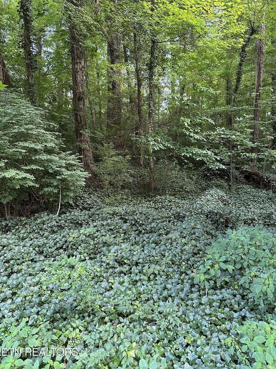 0.41 Acres of Residential Land for Sale in Knoxville, Tennessee