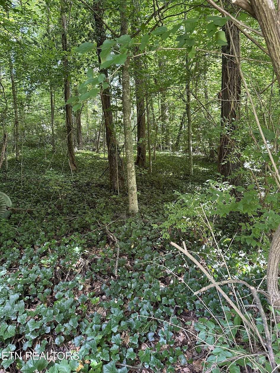 0.41 Acres of Residential Land for Sale in Knoxville, Tennessee