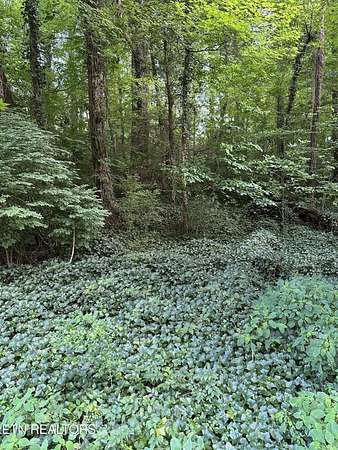 0.41 Acres of Residential Land for Sale in Knoxville, Tennessee