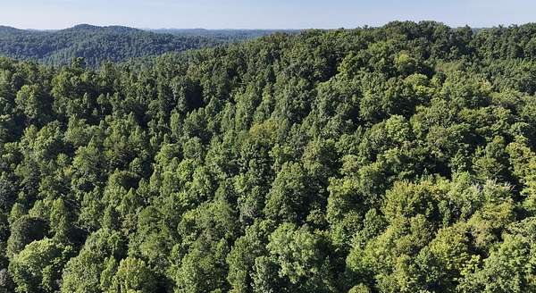 11.5 Acres of Recreational & Residential Land for Sale in Annville, Kentucky