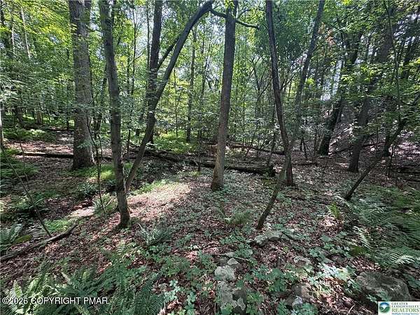 1 Acre of Residential Land for Sale in Kunkletown, Pennsylvania