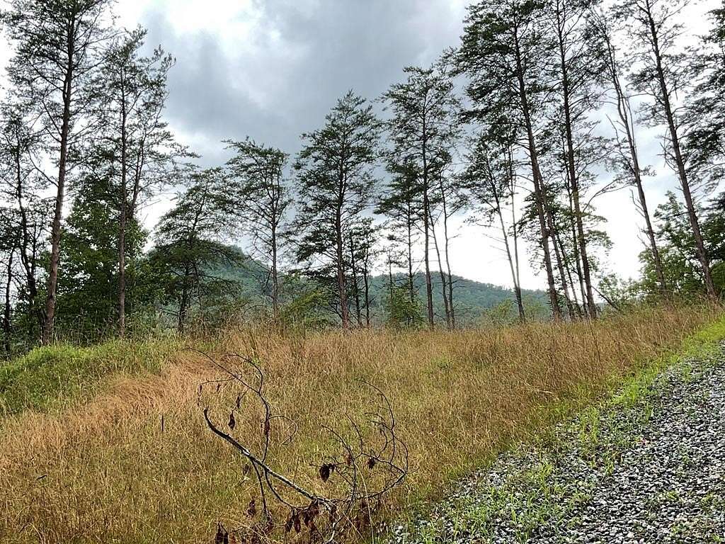 6 Acres of Residential Land for Sale in Otto, North Carolina