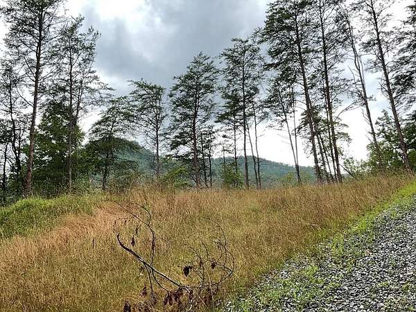 6 Acres of Residential Land for Sale in Otto, North Carolina