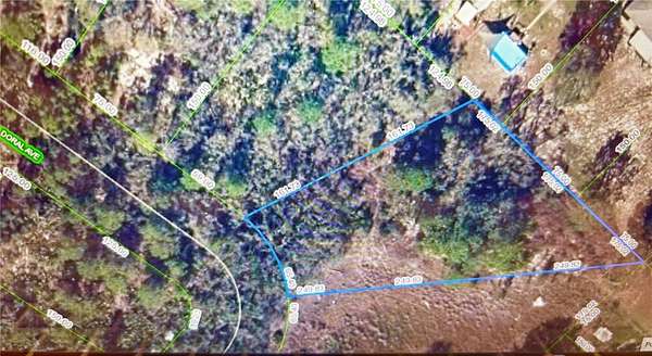 0.49 Acres of Residential Land for Sale in Lake Placid, Florida