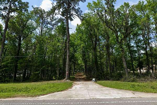 3 Acres of Residential Land for Sale in Micanopy, Florida