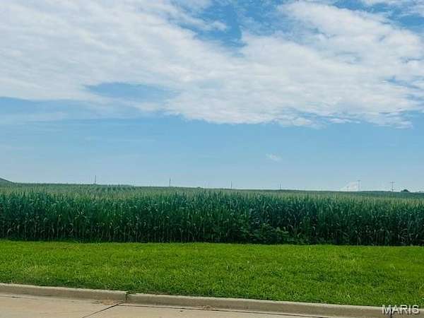 2 Acres of Mixed-Use Land for Sale in Waterloo, Illinois