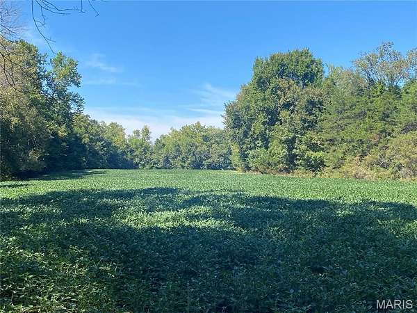 91.7 Acres of Land for Sale in New Haven, Missouri