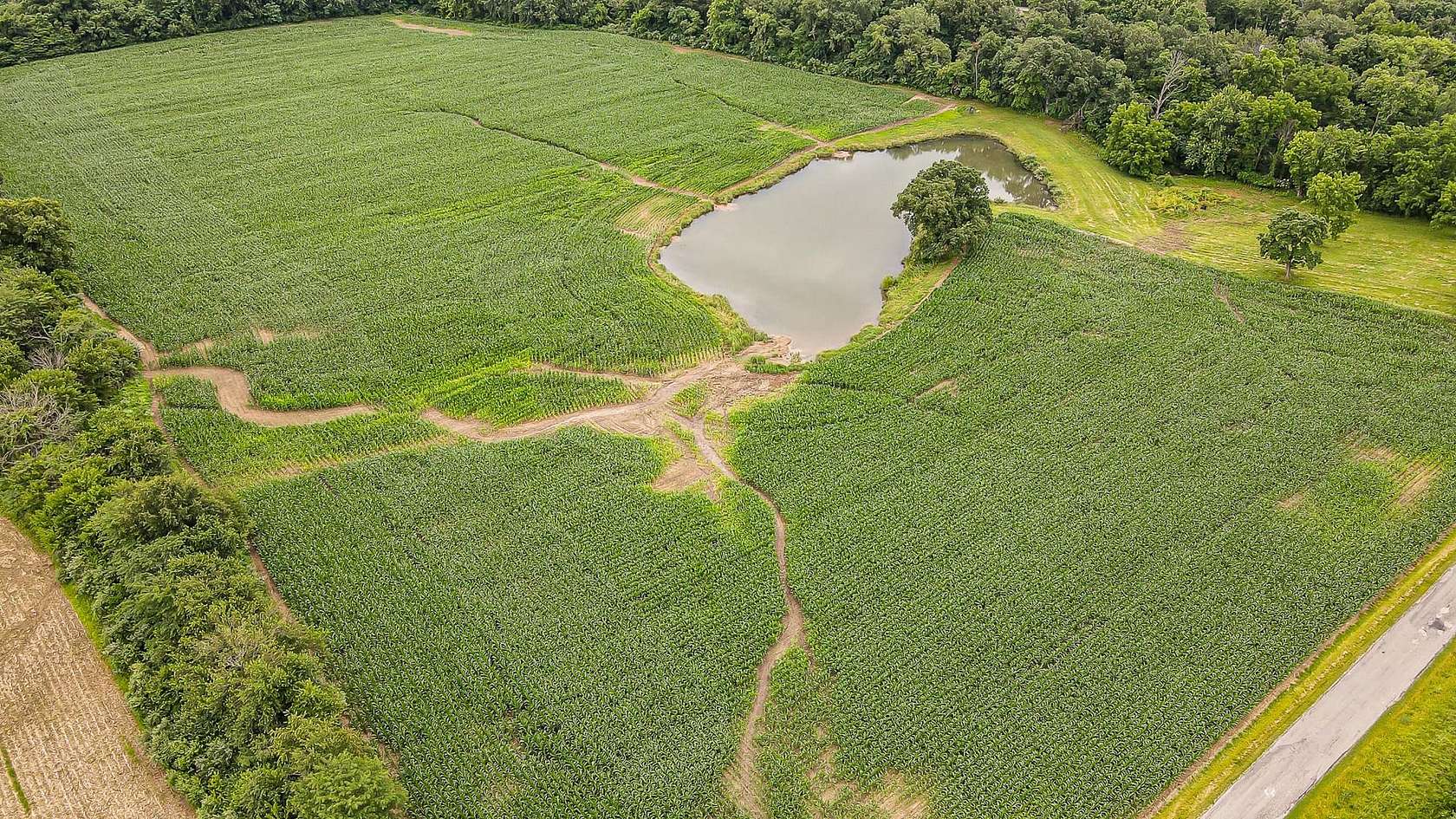 24 Acres of Land for Sale in Paris, Illinois
