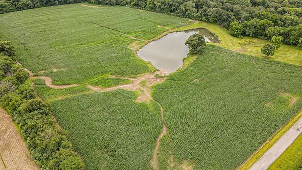 24 Acres of Land for Sale in Paris, Illinois