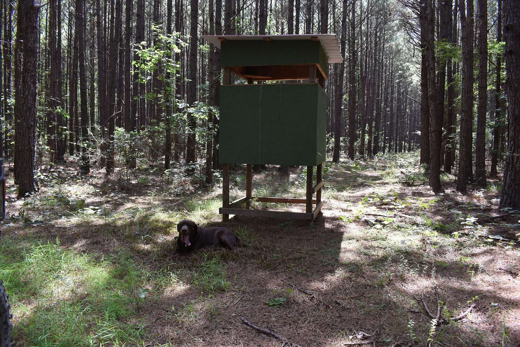 80 Acres of Recreational Land for Sale in Hampton, Arkansas