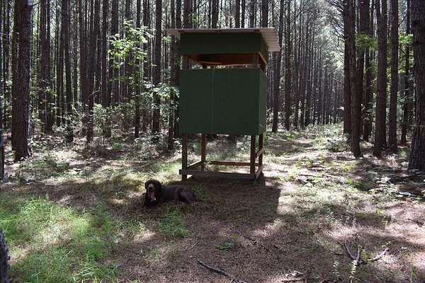 80 Acres of Recreational Land for Sale in Hampton, Arkansas
