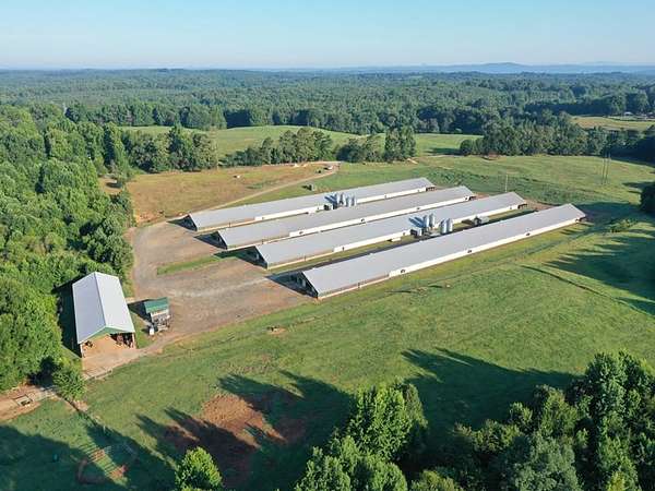 13 Acres of Land for Sale in Carnesville, Georgia