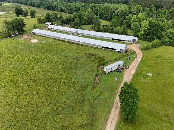 14 Acres of Agricultural Land for Sale in Walnut Grove, Mississippi