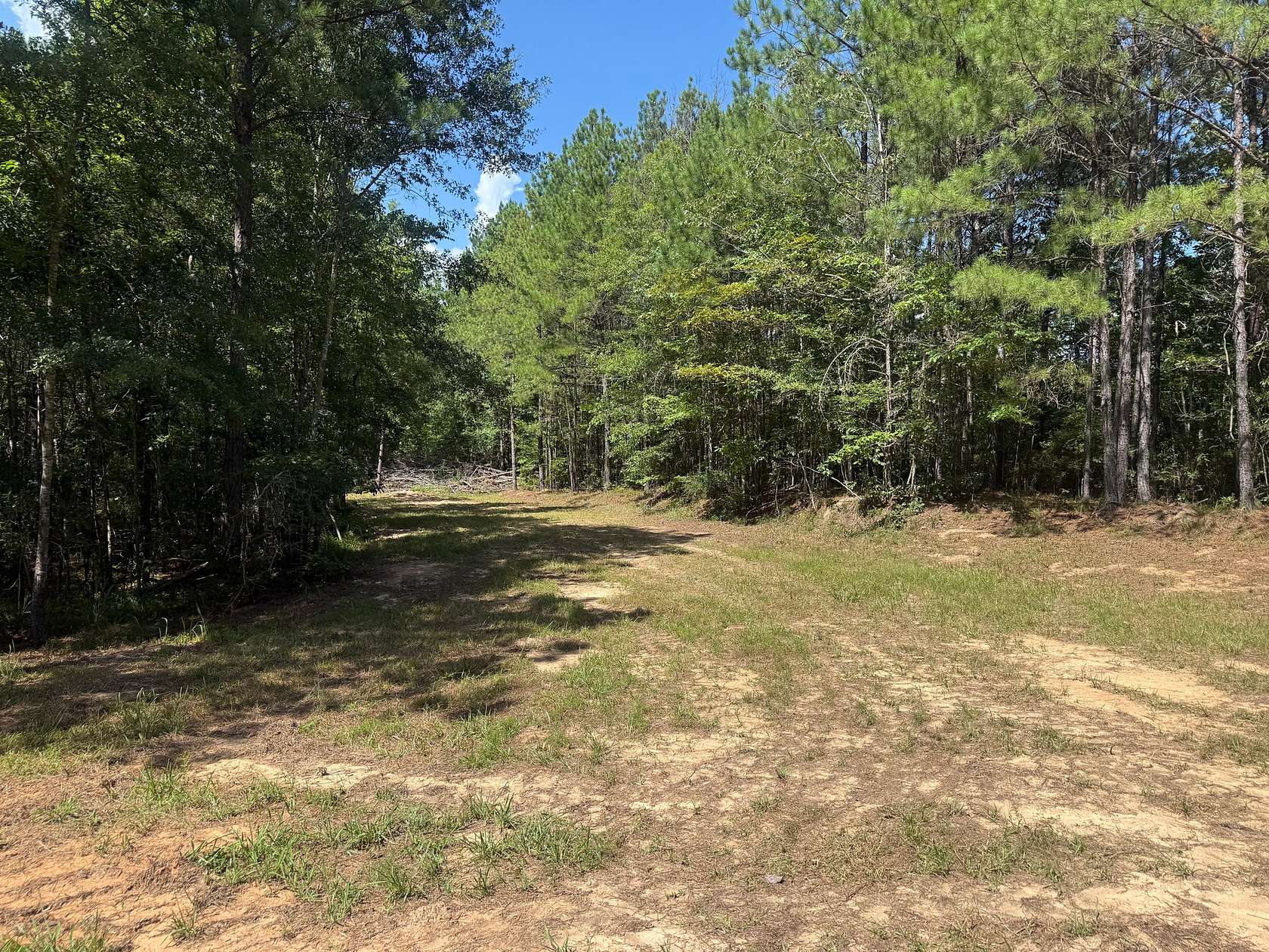 38 Acres of Recreational & Residential Land for Sale in Rockford, Alabama