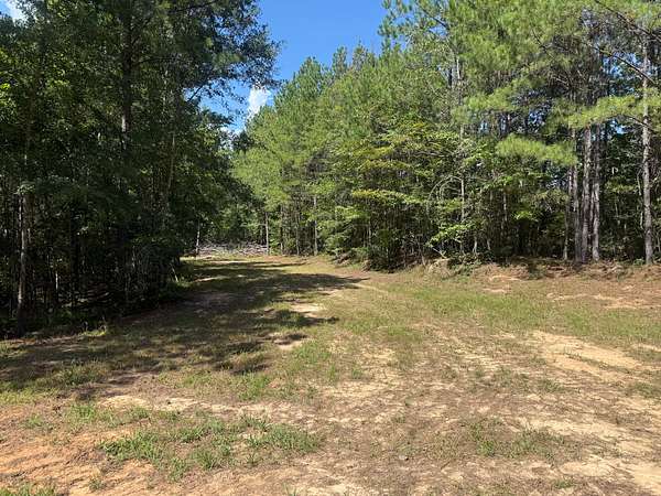 38 Acres of Recreational & Residential Land for Sale in Rockford, Alabama