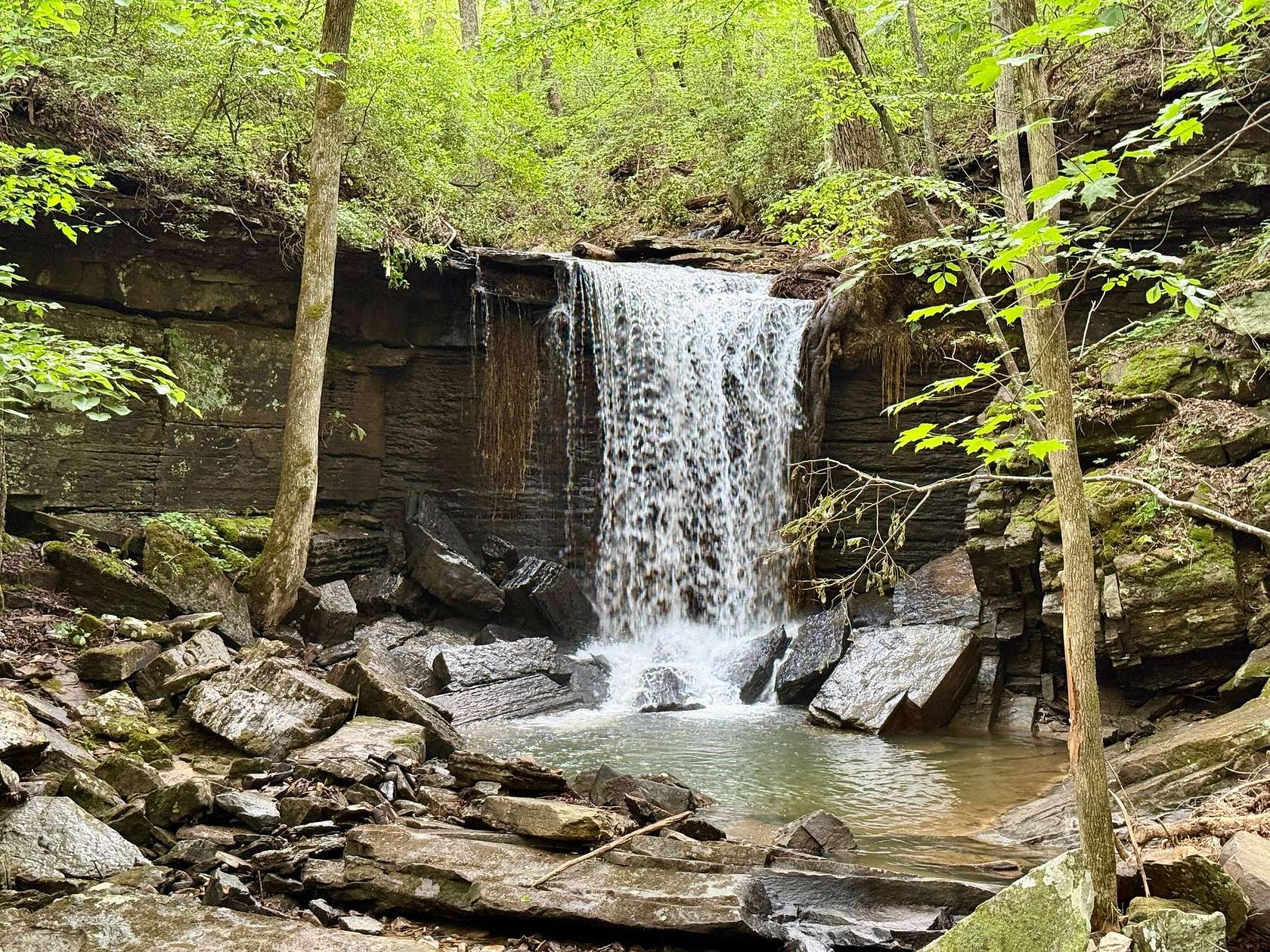 175 Acres of Land for Sale in Scottsboro, Alabama