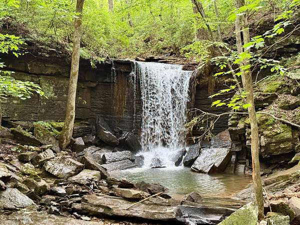 175 Acres of Land for Sale in Scottsboro, Alabama