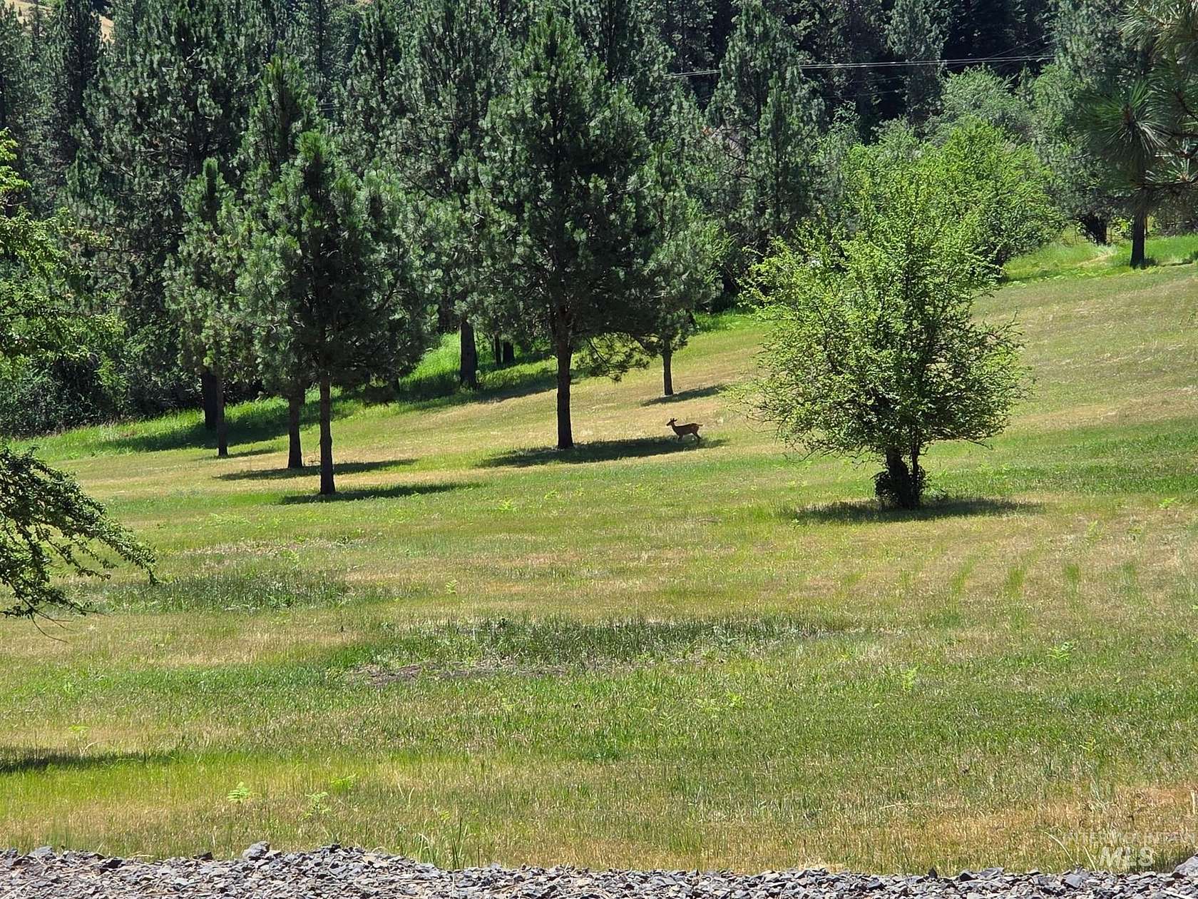 9.2 Acres of Residential Land for Sale in Kooskia, Idaho