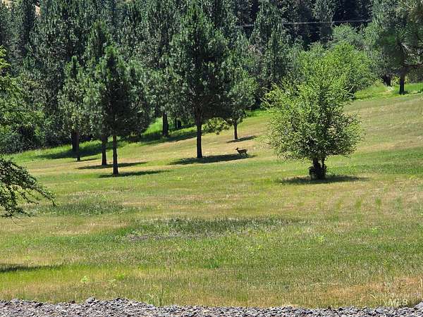 9.2 Acres of Residential Land for Sale in Kooskia, Idaho