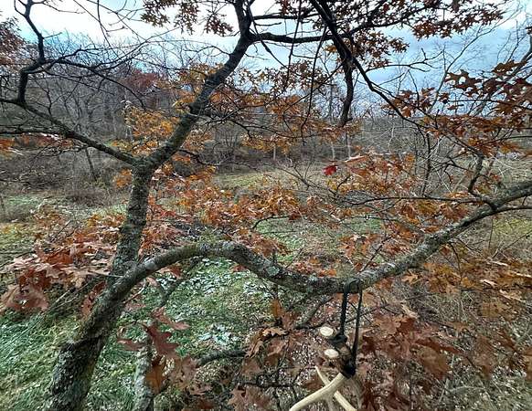 75 Acres of Recreational Land for Sale in Lancaster, Wisconsin