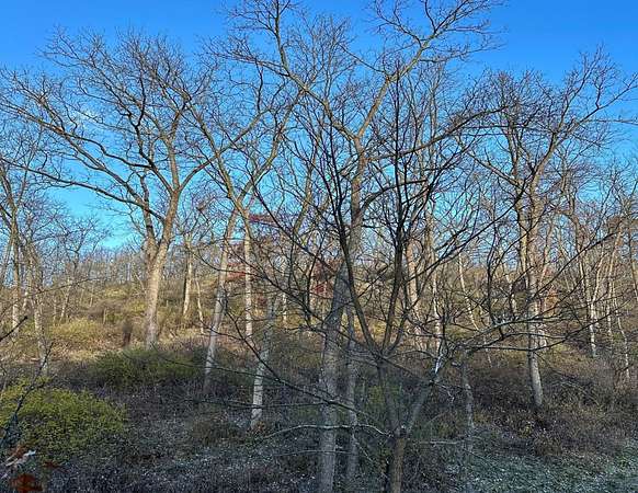 75 Acres of Recreational Land for Sale in Lancaster, Wisconsin