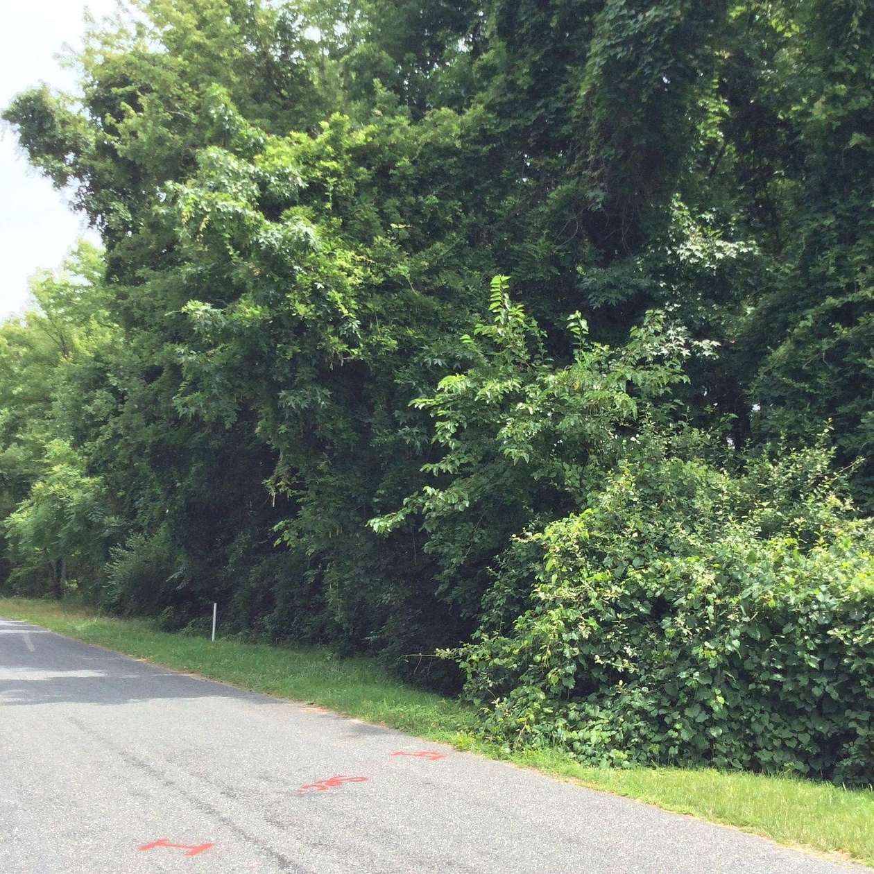 0.31 Acres of Residential Land for Sale in Stevensville, Maryland
