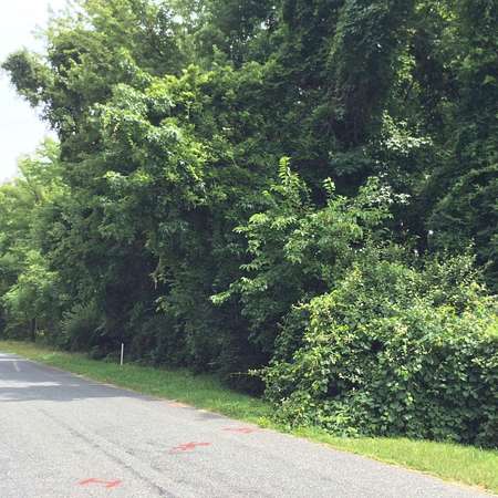 0.31 Acres of Residential Land for Sale in Stevensville, Maryland
