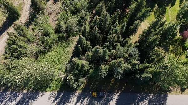 0.29 Acres of Residential Land for Sale in Delta Junction, Alaska