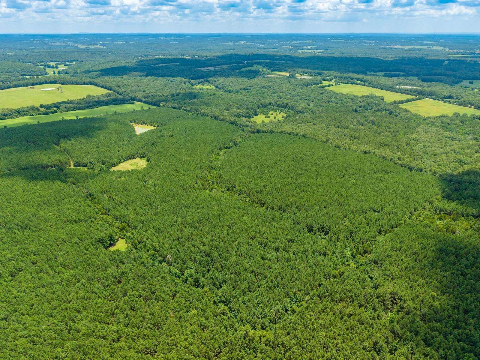 84.3 Acres of Recreational & Residential Land for Sale in Quitman, Arkansas