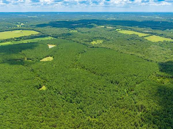 84.3 Acres of Recreational & Residential Land for Sale in Quitman, Arkansas