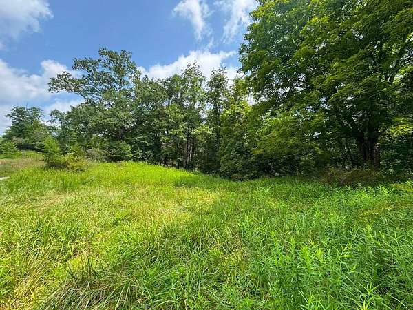 137 Acres of Recreational & Residential Land for Sale in Spencer, West Virginia