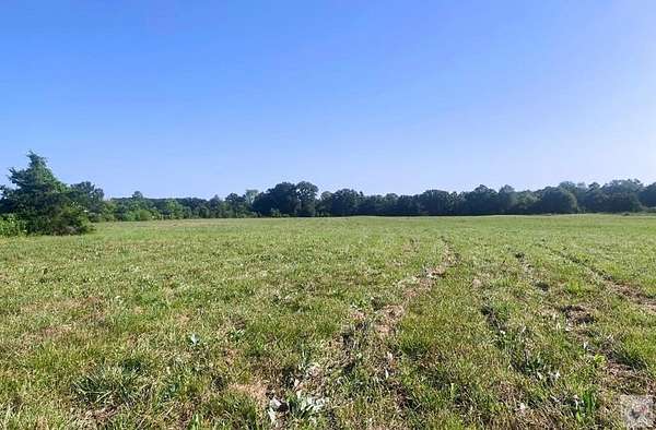 37.1 Acres of Recreational Land for Sale in New Boston, Texas